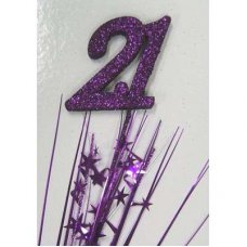 Number 21 Purple P1