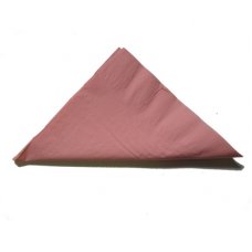 Light Pink  2ply Lunch Napkin P100x20
