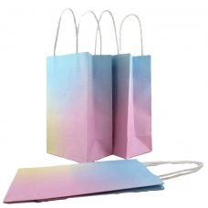 Party Bag Paper 215x130x80mm Pastel Rainbow Pack 5