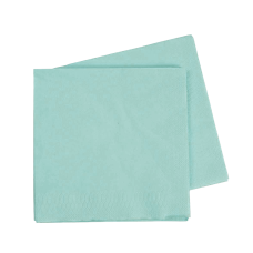 FiveStar Lunch Napkin 33cm Mint Green P40