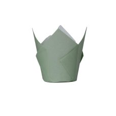 FiveStar Tulip Cupcake Case Eucalyptus P20