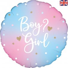 Bright Pastel Gender Reveal 18inch Holographic Pack 1