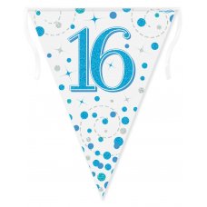 Sparkling Fizz Blue Bunting 16 Pack 1